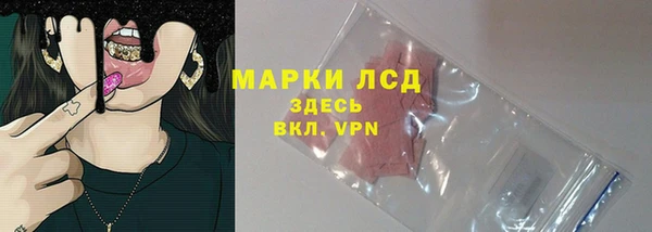 гидра Алексин