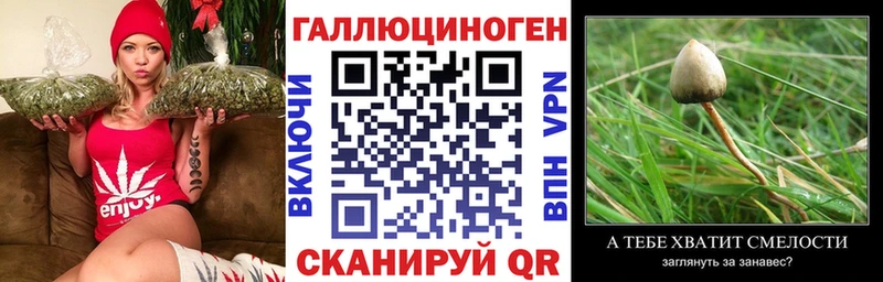 Псилоцибиновые грибы ЛСД где купить наркотик Нестеров